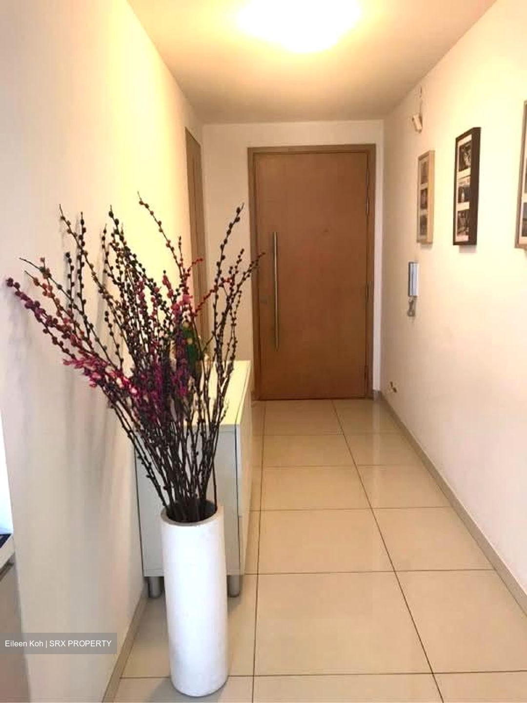 Oasis @ Elias (D18), Condominium #568659561